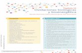Capítulo 23 Oxidaciones biológicas y bioenergética