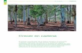 Crecer en cadena - Revista Forestal