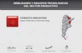 DEBILIDADES Y DESAFIOS TECNOLOGICOS DEL SECTOR PRODUCTIVO
