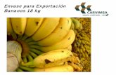 Envase para Exportación Bananos 18 kg