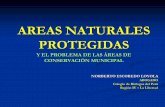 AREAS NATURALES PROTEGIDAS - sial.segat.gob.pe