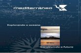 Mediterráneo Servicios Marinos | Empresa española, fundada ...