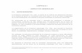 CAPÍTULO I ASPECTOS GENERALES 1.1. ANTECEDENTES
