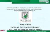 AUTOR (ES) MOLINA GAVIRIA ALEX DIXON SALAZAR CORREDOR ...