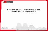 INDICADORES AMBIENTALES Y DEL DESARROLLO SOSTENIBLE
