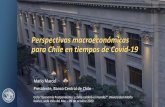 Perspectivas macroeconómicas para Chile en tiempos de Covid-19
