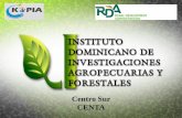 Centro Sur CENTA - Sociedad Dominicana de Investigadores ...