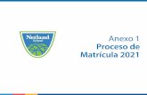 Anexo 1 Proceso de Matrícula 2021