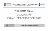 PROGRAMA ANUAL DE AUDITORIA PARA EL EJERCICIO FISCAL …