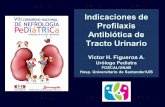 Indicaciones de Profilaxis Antibiótica de Tracto Urinario ...