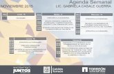 Agenda Semanal NOVIEMBRE 2015 LIC. GABRIELA CASALE …