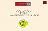 DOCTORADO EN LA UNIVERSIDAD DE MURCIA - UM