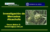 Investigación de Mercados Alcachofa