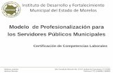 Modelo de Profesionalización para los Servidores Públicos ...