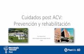 Cuidados post ACV: Prevención y rehabilitación
