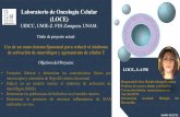 Laboratorio de Oncología Celular (LOCE)