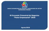 III Encuesta Trimestral de Negocios “Pulso Empresarial” 2018