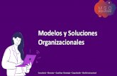 Modelos y Soluciones Organizacionales
