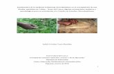 Etnobotánica de la medicina tradicional afrocolombiana en ...
