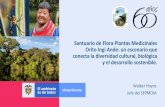 Santuario de Flora Plantas Medicinales Orito Ingi Ande: un ...