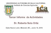 Tercer Informe de Actividades Dr. Roberto Soto Ortiz