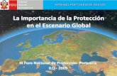 La Importancia de la Protección en el Escenario Global