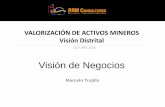 VALORIZACIÓN DE ACTIVOS MINEROS Visión Distrital