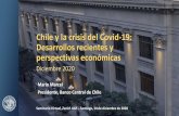 Chile y la crisis del Covid-19: Desarrollos recientes y ...