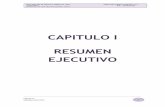 CAPITULO I RESUMEN EJECUTIVO - SIAR Lima