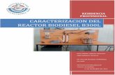 CARACTERIZACION DEL REACTOR BIODIESEL B300L