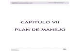 CAPITULO VII PLAN DE MANEJO - SIAR Lima | Sistema de ...