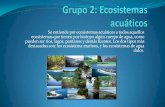 Se entiende por ecosistemas acuáticos a todos aquellos ...