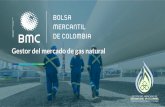 Gestor del mercado de gas natural - Foro Energético 2017