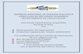 EMPRESA NACIONAL DE ENERGIA ELECTRICA DIRECCION DE ...