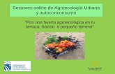 Sesiones online de Agroecología Urbana y autoconconsumo
