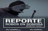 Reporte Robos en Sonora