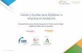 Claves y Ayudas para digitalizar tu empresa en Andalucía