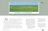 en agrosistemas cerealistas - NAVARRA AGRARIA