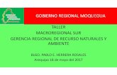 GOBIERNO REGIONAL MOQUEGUA TALLER MACROREGIONAL …