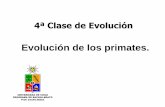 4ª Clase de Evolución - U-Cursos