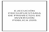 EJECUCIÓN PRESUPUESTARIA DE PROYECTOS DE INVERSIÓN …