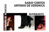 dossier 2012- Saray & Antonio de Verónica