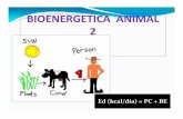 BIOENERGETICA ANIMAL 2 - WordPress.com