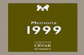Memoria 1999 - fcmanrique.org