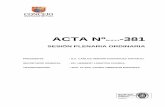 ACTA Nº -381