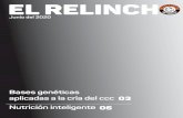 EL RELINCHO - asdesilla.com
