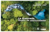 La Araucanía, Región de oportunidades
