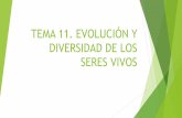 TEMA 11. EVOLUCIÓN Y DIVERSIDAD DE LOS SERES VIVOS