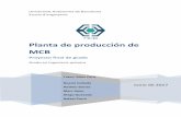 Planta de producción de MCB - UAB Barcelona