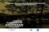 ASOPESAN - PPD Colombia
